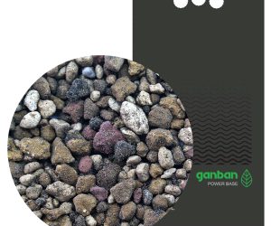 YOKUCHI GANBAN POWER BASE 6L
