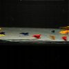 Neocaridina "Skittles" - Mix Kolorów - 10 sztuk