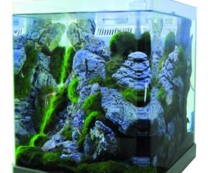 AQN NANO-10 WHITE AKWARIUM NANO 10L LED