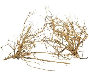 PROGROW BRANCH WOOD 0,1KG