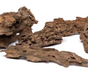 PROGROW DRAGON WOOD 1KG