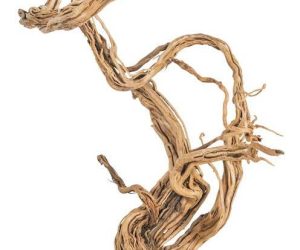 PROGROW FINE WOOD WAVE 1KG