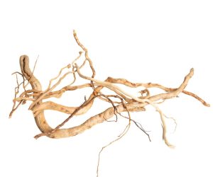 PROGROW SINGLE BRANCH 10-60CM 1KG