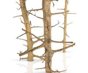 PROGROW TREE WOOD 1SZT.